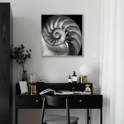 Master Piece Nautilus 2 Framed Wall Art -Master Piece Shop unnamed file 1003