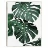 Master Piece Monstera 1 Framed Canvas Wall Art