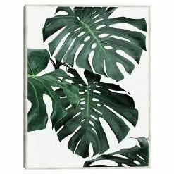Master Piece Monstera 1 Framed Canvas Wall Art