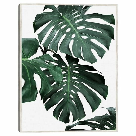 Master Piece Monstera 1 Framed Canvas Wall Art 1 Master Piece Monstera 1 Framed Canvas Wall Art