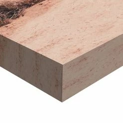 Master Piece In The Desert Wall Art By Sisi & Seb -Master Piece Shop unnamed file 1182