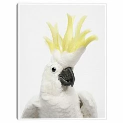 Master Piece Cockatoo Wall Art By Sisi & Seb