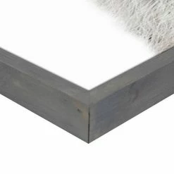 Master Piece Baby Raccoon Wall Art By Sisi & Seb -Master Piece Shop unnamed file 1252