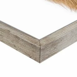 Master Piece Baby Cow Wall Art By Sisi & Seb -Master Piece Shop unnamed file 1262