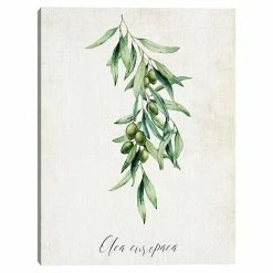 Master Piece Olives Canvas Wall Art