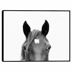 Master Piece Peeking Horse Wall Art By Sisi & Seb