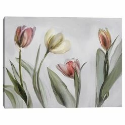 Master Piece Tulipani Canvas Wall Art By Studio Arts