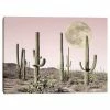 Master Piece Blush Cactus Desert Wall Art By Sisi & Seb