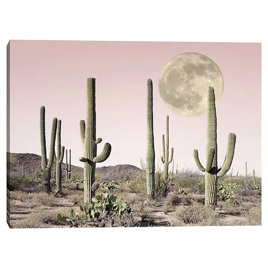 Master Piece Blush Cactus Desert Wall Art By Sisi & Seb 1 Master Piece Blush Cactus Desert Wall Art By Sisi & Seb