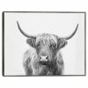 Master Piece Highland Bull Wall Art By Sisi & Seb