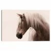 Master Piece Magnificent Horse Canvas Wall Art