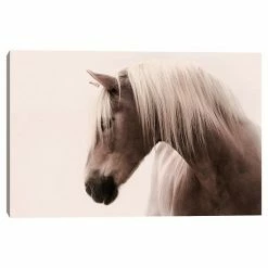 Master Piece Magnificent Horse Canvas Wall Art