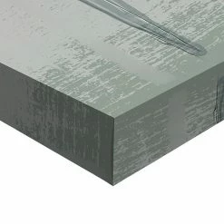 Master Piece Peachy Dreams Canvas Wall Art By Studio Arts -Master Piece Shop unnamed file 345