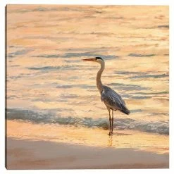 Master Piece Night Light Canvas Wall Art By Studio Arts