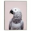 Master Piece African Grey Wall Art By Sisi & Seb