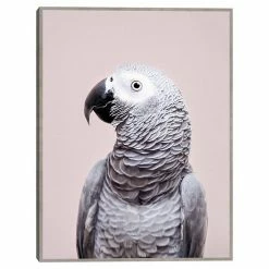 Master Piece African Grey Wall Art By Sisi & Seb