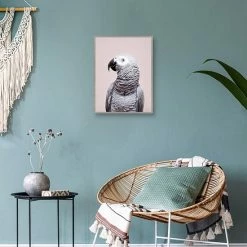 Master Piece African Grey Wall Art By Sisi & Seb 8 Master Piece African Grey Wall Art By Sisi & Seb -Master Piece Shop unnamed file 573