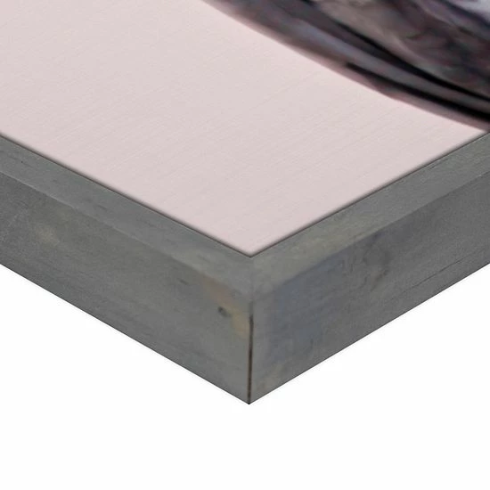 Master Piece African Grey Wall Art By Sisi & Seb 5 Master Piece African Grey Wall Art By Sisi & Seb - Image 5