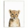Master Piece Baby Lion Wall Art By Sisi & Seb 2-Piece Set