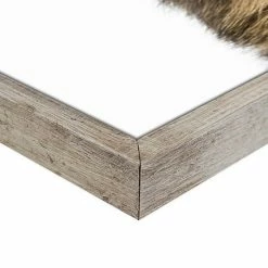 Master Piece Baby Lion Wall Art By Sisi & Seb 2-Piece Set -Master Piece Shop unnamed file 585