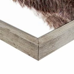 Master Piece Baby Bear Wall Art By Sisi & Seb -Master Piece Shop unnamed file 590