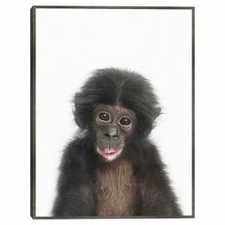 Master Piece Baby Monkey Wall Art By Sisi & Seb
