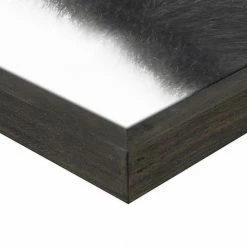 Master Piece Baby Monkey Wall Art By Sisi & Seb -Master Piece Shop unnamed file 647