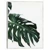 Master Piece Monstera 2 Wall Art By Sisi & Seb
