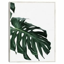 Master Piece Monstera 2 Wall Art By Sisi & Seb