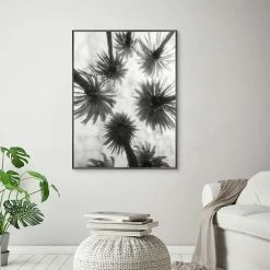 Master Piece Amongst The Palms Crop Framed Wall Art -Master Piece Shop unnamed file 934