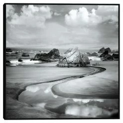 Master Piece Beach Path Framed Wall Art