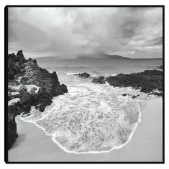 Master Piece Beach Oasis Framed Wall Art