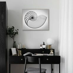 Master Piece Nautilus X Ray I Framed Wall Art -Master Piece Shop unnamed file 994