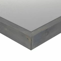 Master Piece Nautilus X Ray I Framed Wall Art -Master Piece Shop unnamed file 995